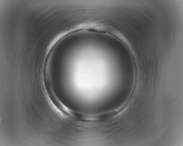 X0000082731344200701261235