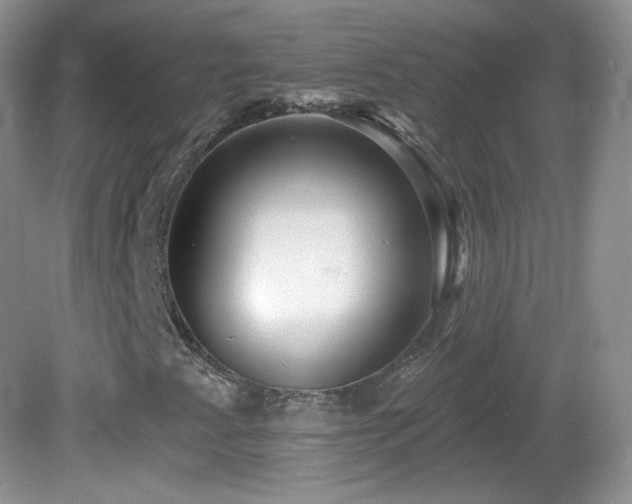 X0000082731345200701261234