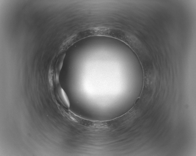 X0000082731346200701261234
