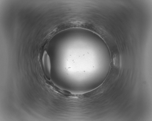 X0000082731347200701261234