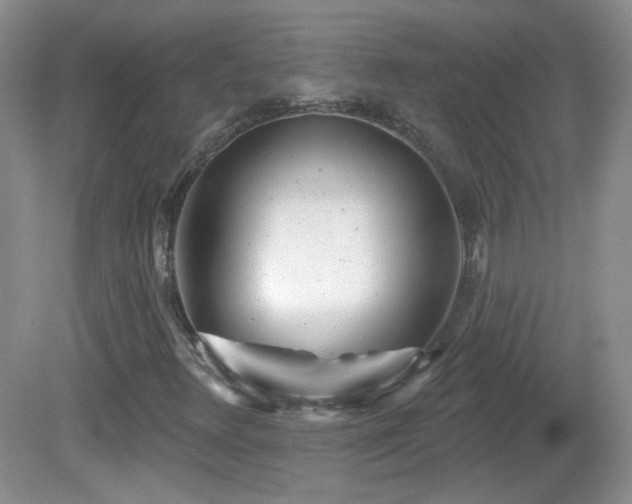 X0000082731348200701261234