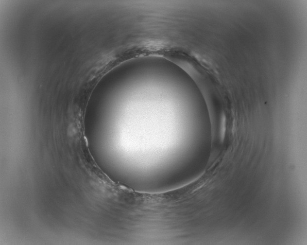 X0000082731349200701261234