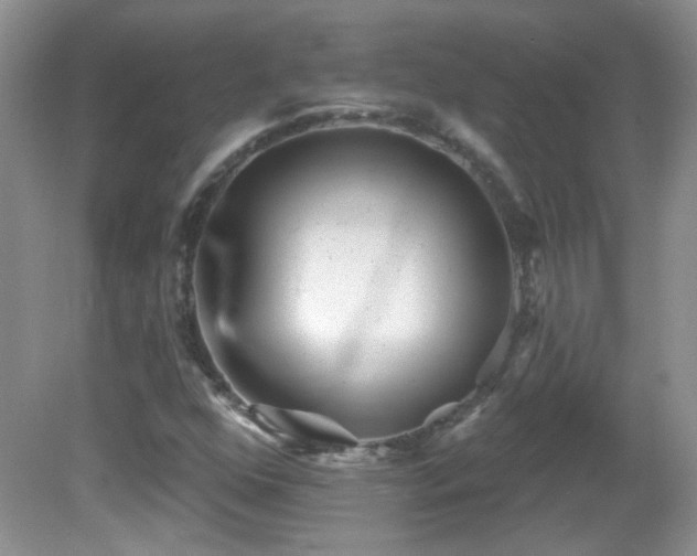 X0000082731352200701261234