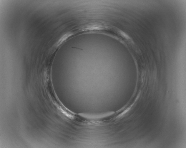X0000082731353200701261234