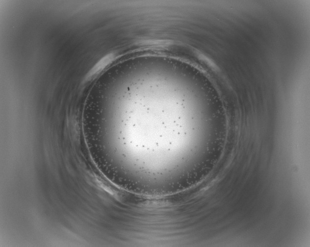 X0000082731354200701261234