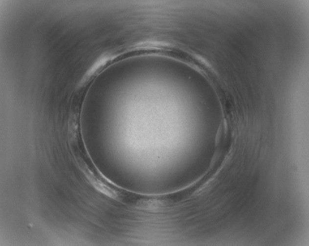 X0000082731355200701261234