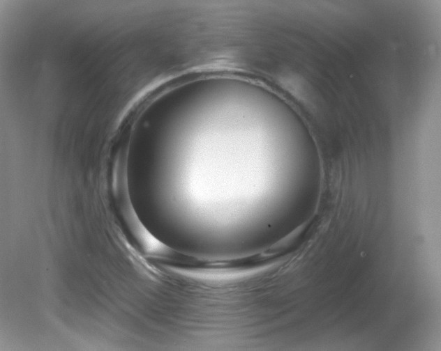 X0000082731356200701261234