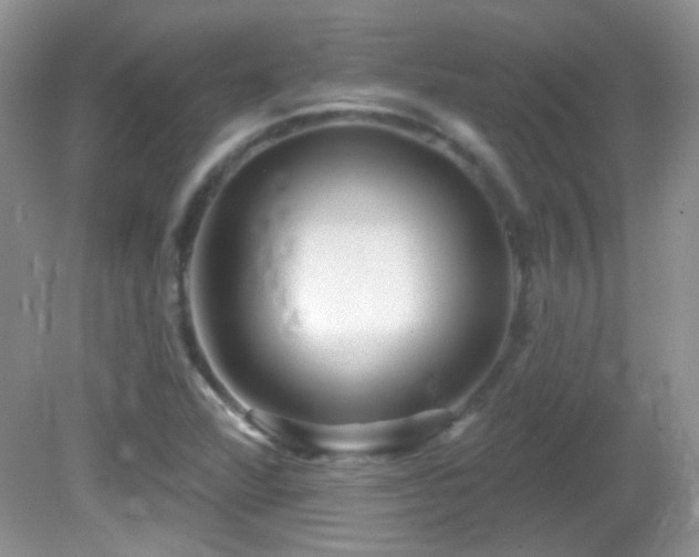 X0000082731360200701261234