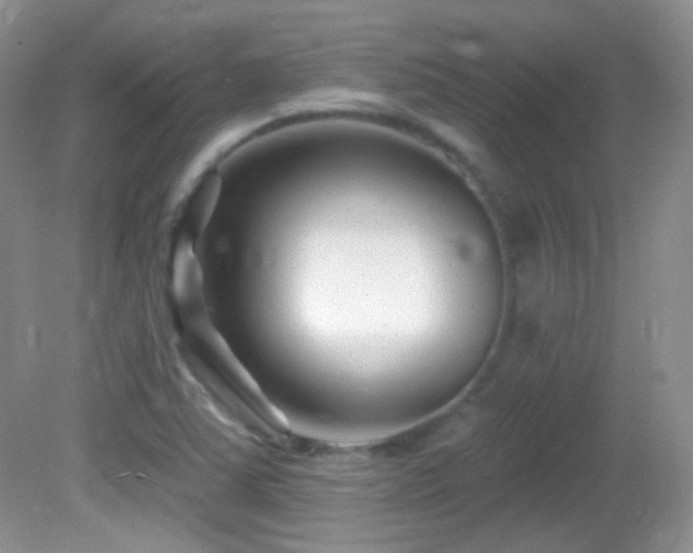X0000082731363200701261234