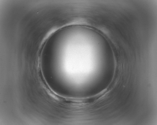 X0000082731366200701261234