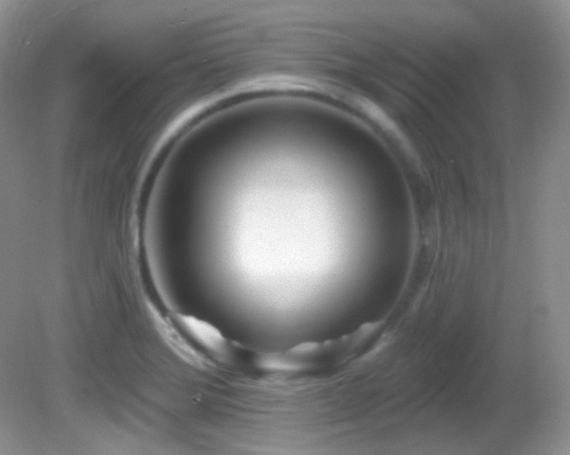 X0000082731372200701261234
