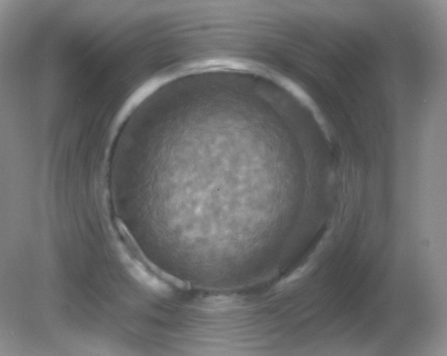 X0000082731373200701261234