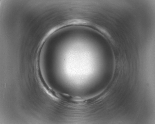 X0000082731375200701261234