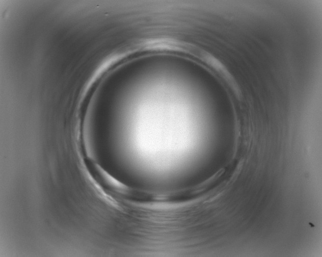 X0000082731376200701261234