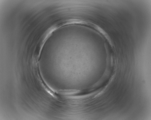 X0000082731377200701261234