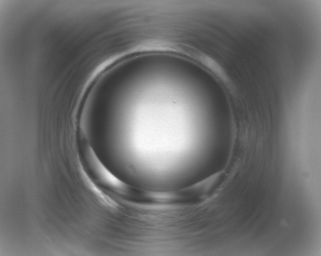 X0000082731380200701261234