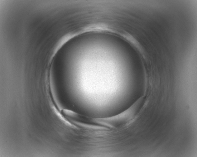 X0000082731382200701261234