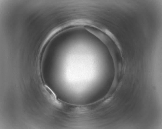 X0000082731384200701261234