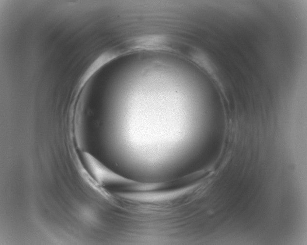 X0000082731386200701261234
