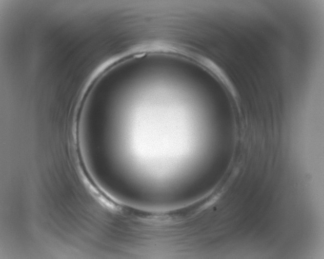 X0000082731388200701261234