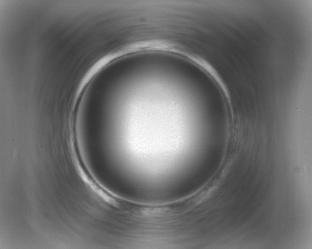 X0000082731389200701261233