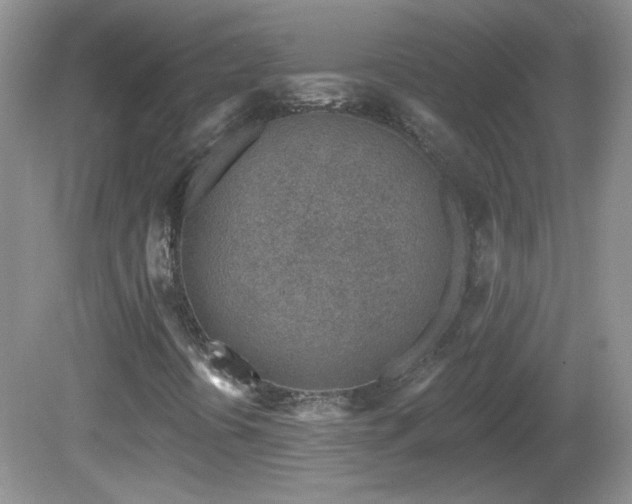 X0000082731394200701261233