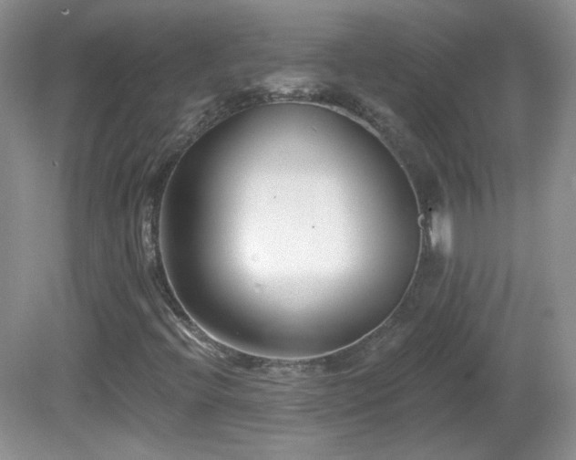 X0000082731396200701261233