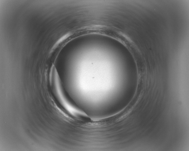 X0000082731402200701261233