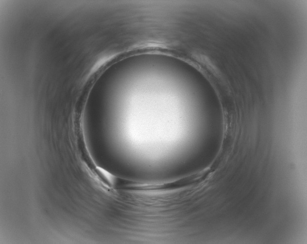 X0000082731404200701261233