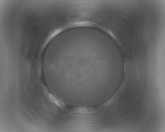 X0000082731405200701261233