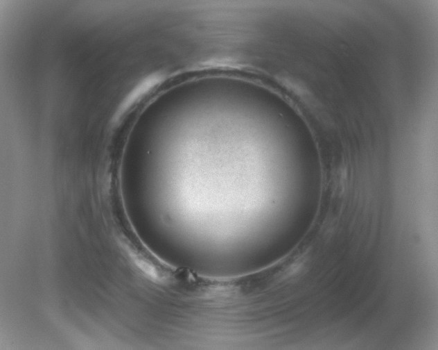 X0000082731406200701261233