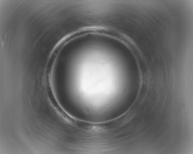 X0000082731412200701261233
