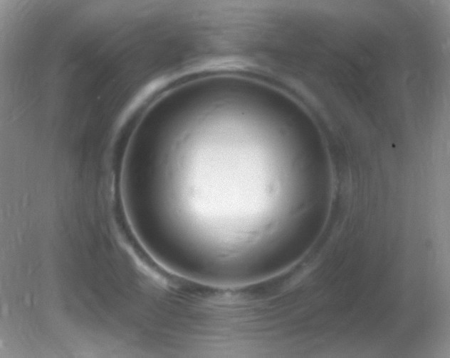 X0000082731414200701261233
