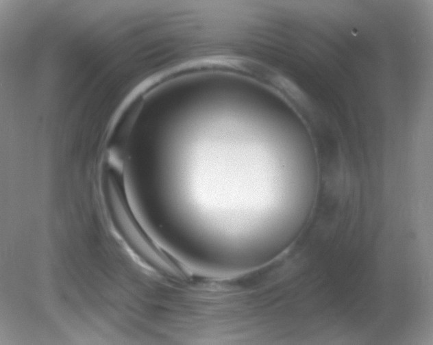 X0000082731420200701261233