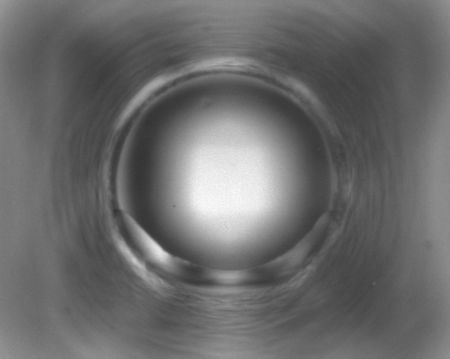 X0000082731422200701261233
