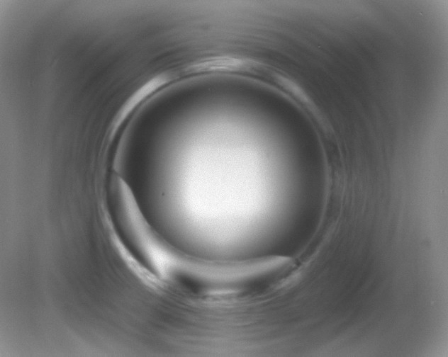 X0000082731426200701261233