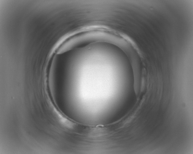 X0000082731430200701261233