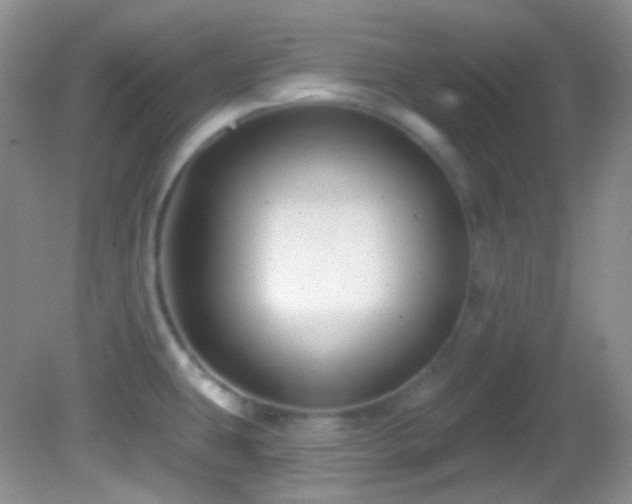 X0000082731431200701261233