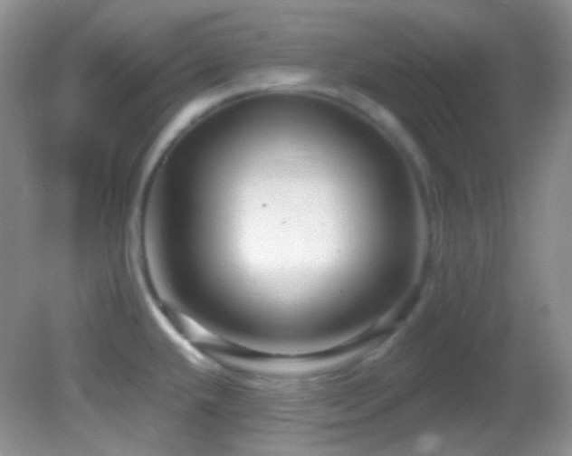 X0000082731432200701261233