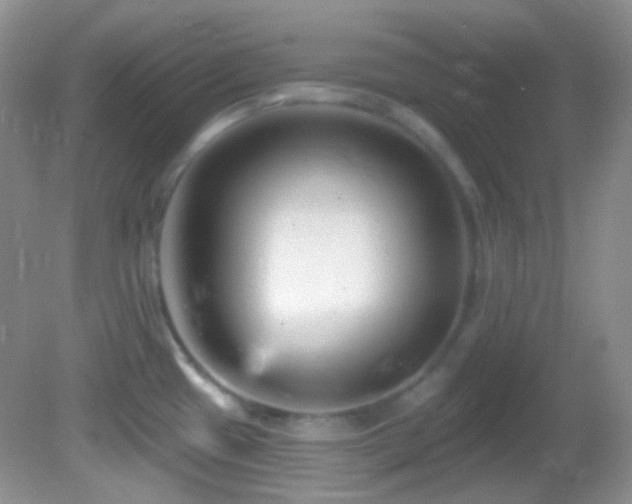X0000082731433200701261233