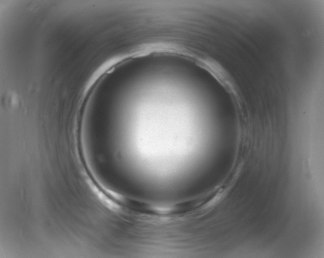 X0000082731438200701261233