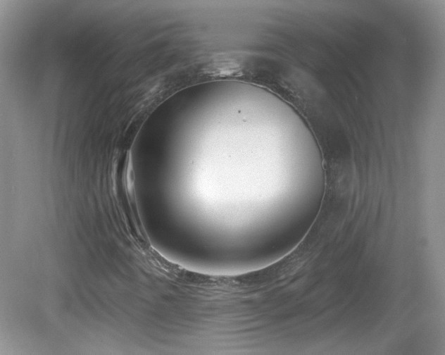 X0000082731442200701261233