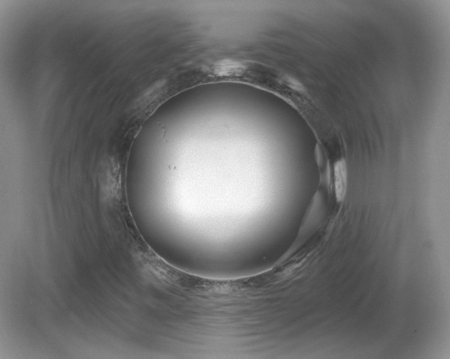 X0000082731443200701261233