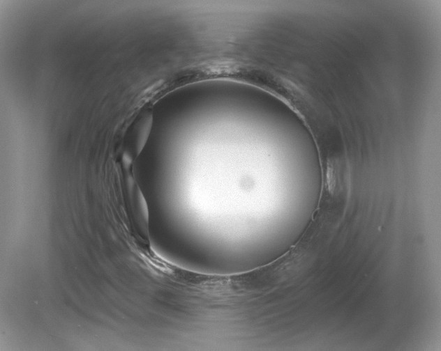 X0000082731444200701261233