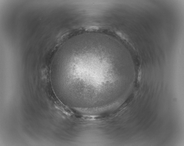 X0000082731445200701261233