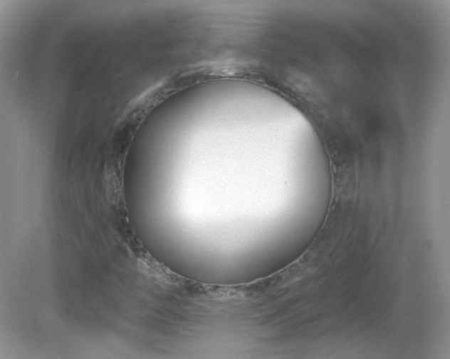 X0000082731446200701261233
