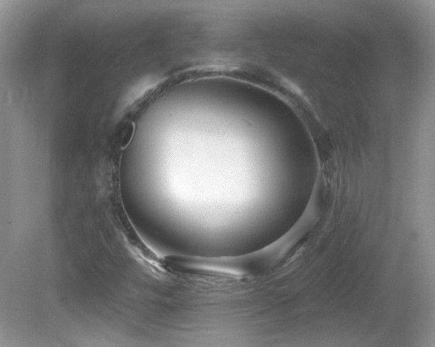 X0000082731448200701261233
