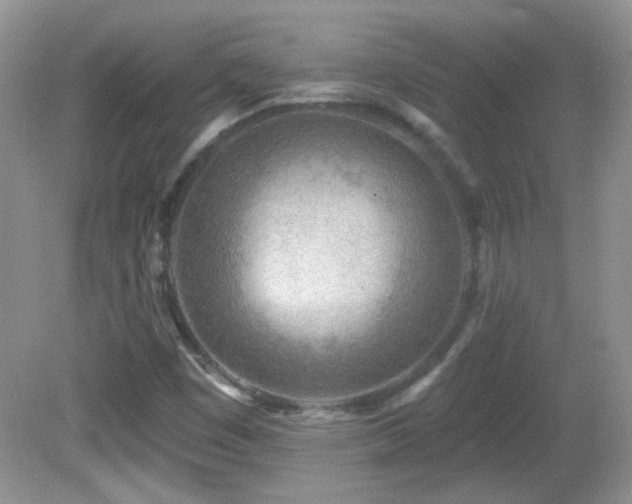 X0000082731449200701261232
