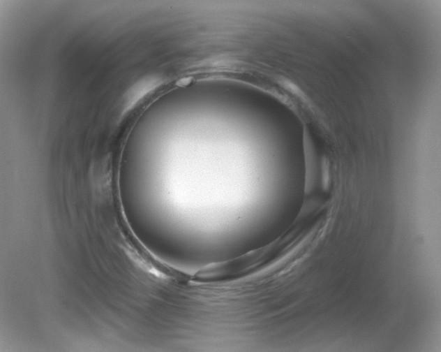 X0000082731450200701261232