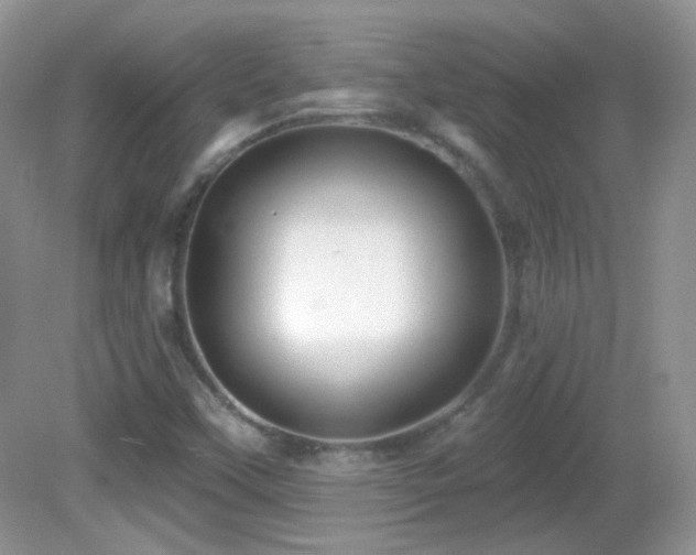 X0000082731451200701261232